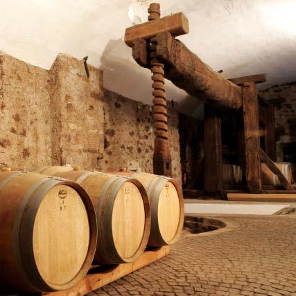 14 15 Wein und Architektur Südtirol ist die Heimat einiger der spannendsten Weine Italiens, rassige Weiße und verführerische Rote mit eigenständiger Persönlichkeit.