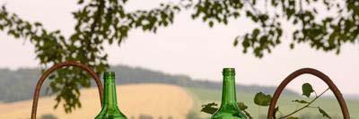 Weitere Bio-Lebensmittel Bio-Getränke Gerade Bio-Hersteller bieten eine große Auswahl an Getränken an.