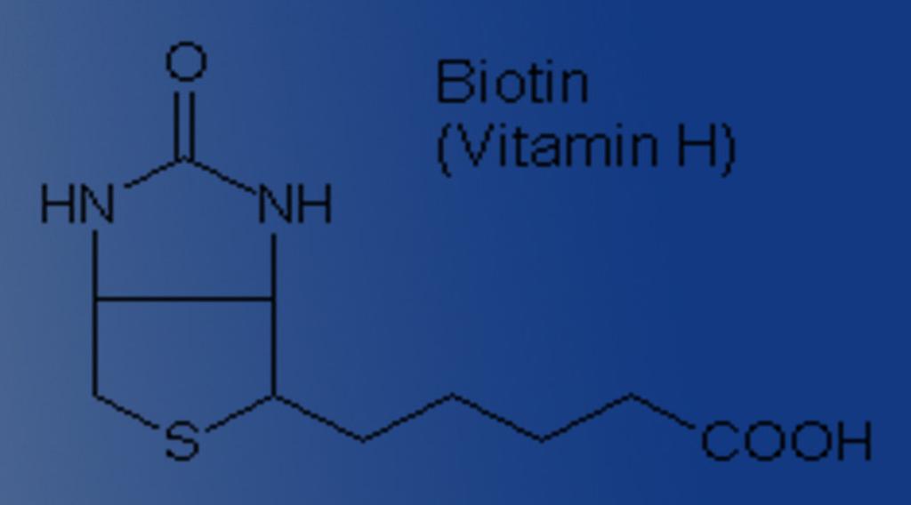 Chemie Essentielles, wasserlösliches Vitamin Zählt zu der Gruppe der B- Vitamine Als Coenzym an vielen Körperfunktionen beteiligt Biotin ist ein heterozyklisches Harnstoffderivat, besteht aus einem