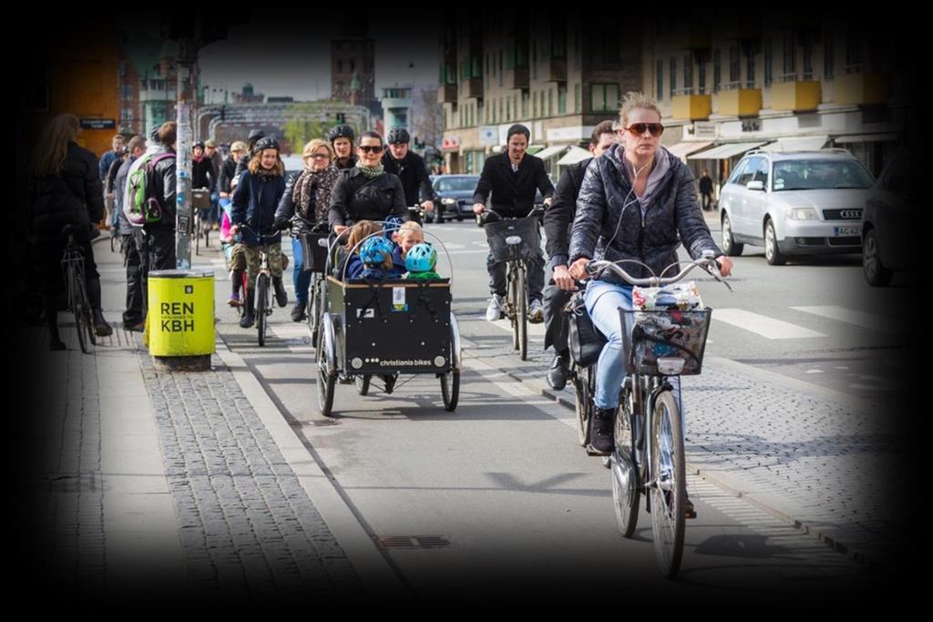 Potenziale bei privaten Haushalten 25% aller Haushalte in Kopenhagen