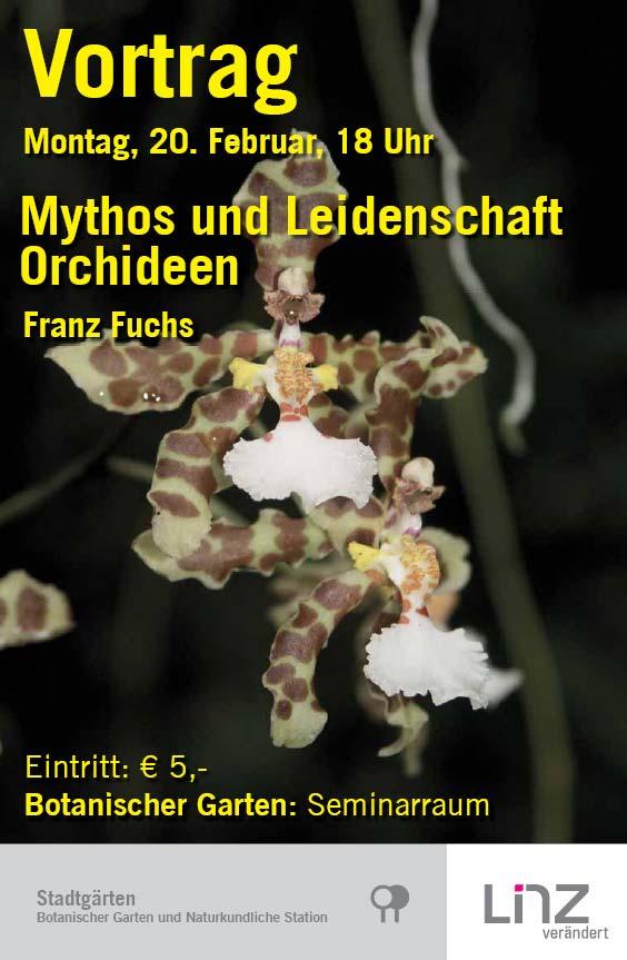 Zusätzlich gibt es eine Reihe von Begleitveranstaltungen, die sich Orchideen-LiebhaberInnen nicht entgehen lassen sollten: Orchideen-Sonderschau des OÖ. Orchideenvereins mit Beratung Freitag, 2.