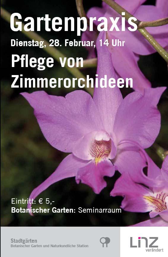 Gartenpraxis: Pflege von Zimmerorchideen Dienstag, 28. Februar, 14 Uhr, Seminarraum Zu unrecht gelten Orchideen bei vielen HobbygärtnerInnen als schwierige Pflanzengruppe.