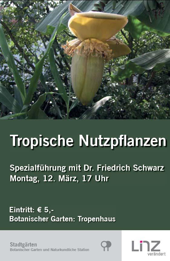 Spezialführung: Dr. Friedrich Schwarz: Tropische Nutzpflanzen Montag, 12.