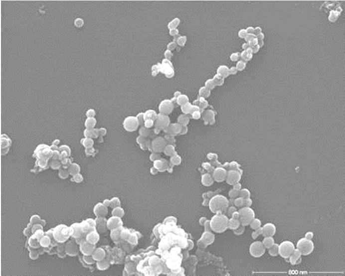Gesundheitsgefahren von Nanomaterialien vorhanden Es sind keine völlig