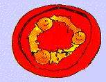 Elektromagnetismus Weakonen (W und Z) Photonen g Schwerkraft Gravitonen?