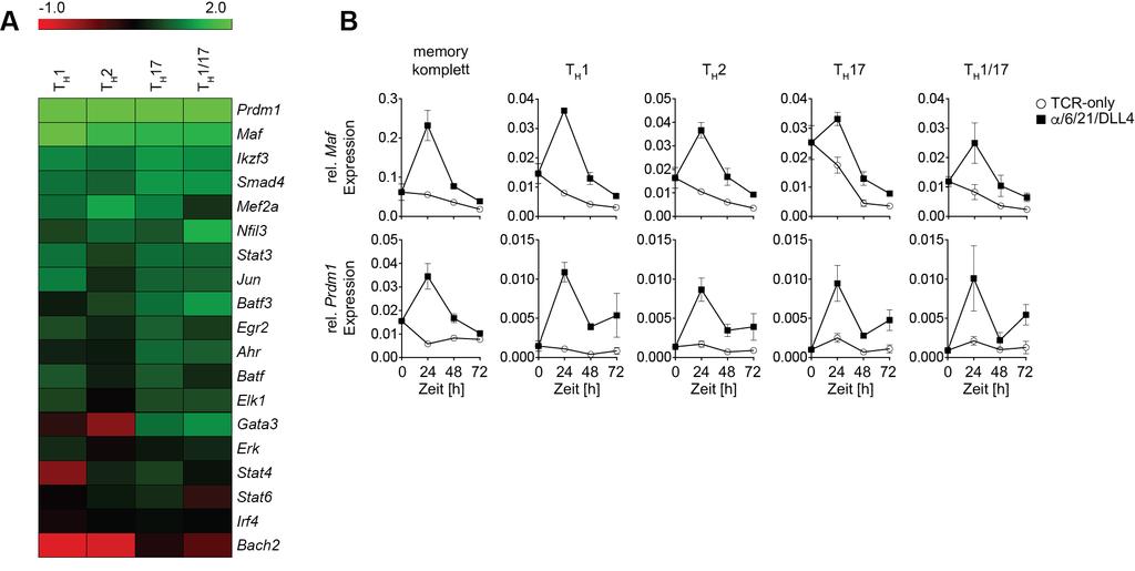 ERGEBNISSE 80 Abb. 4.21 IFN-α/IL-6/IL-21/DLL4 induziert die Expression von Maf und Prdm1 in memory T H -Zellen.