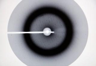 Ein Streumuster wie es die Röntgenstrukturanalyse eines Proteinkristalls ergeben hat.(foto: Antonie Knierim/Universität Tübingen) Blutzellen gehen, sagt Stehle.