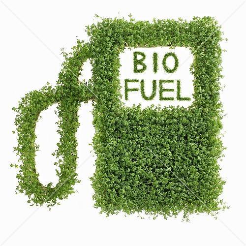 1. Einleitung Transportkraftstoffe: Kerosin, Benzin und Diesel Diesel bildet größte Gruppe Schlecht für die Umwelt und mengenmäßig begrenzt umweltfreundlichere Alternativen : 1.