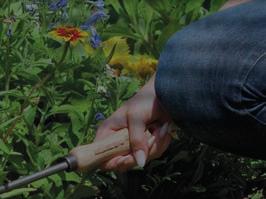 gerne für den ökolo- Garten- und Landschaftsbau Fingerjäter gischen Gartenbau verwendet wird.