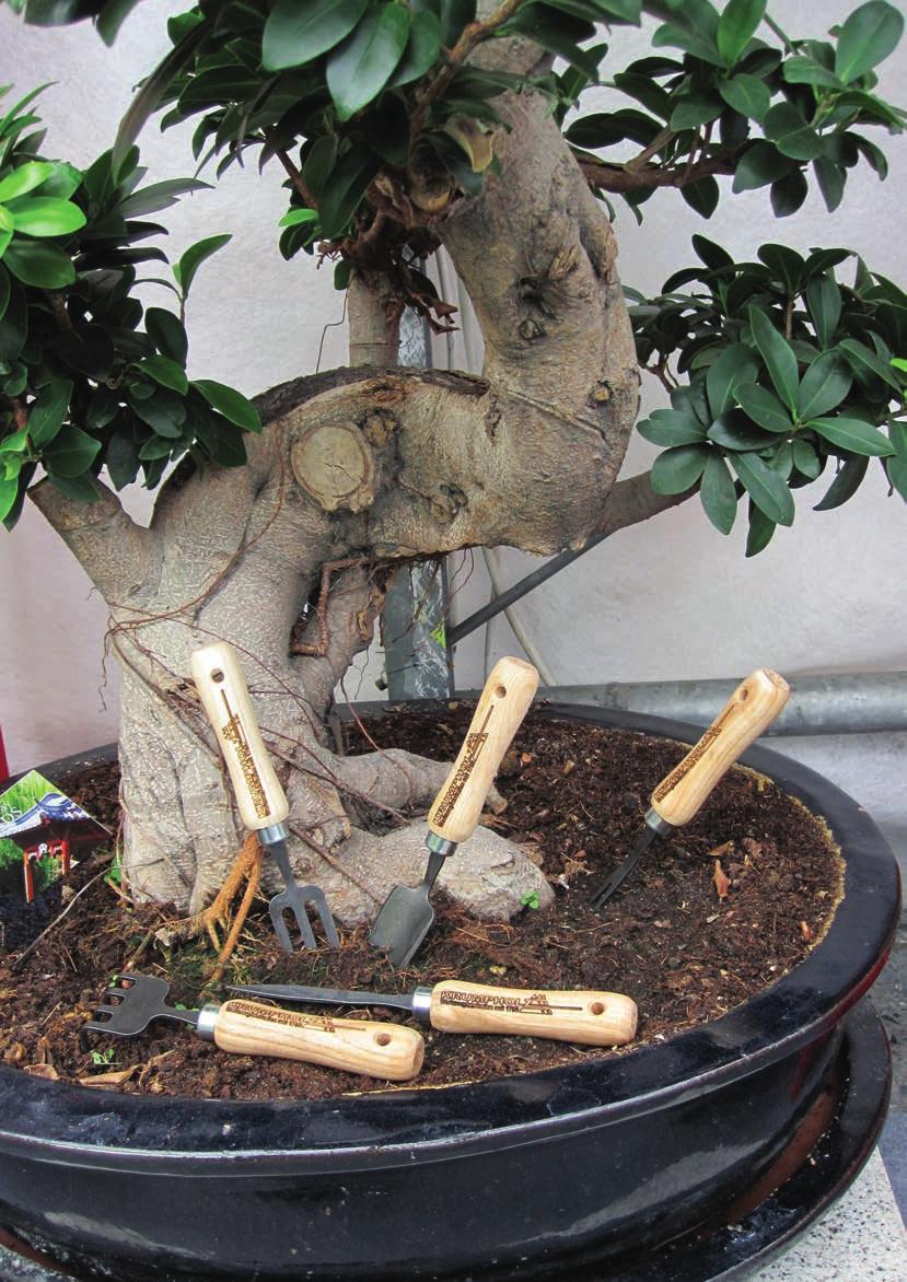 Bonsai-Werkzeuge Gartenwerkzeuge