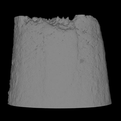 3.2 Röntgen-Computertomografie XCT 2.3.1 Axiale Porositätsverteilung von gebrochenen und unterbrochenen Warmzugproben Das Beispiel der