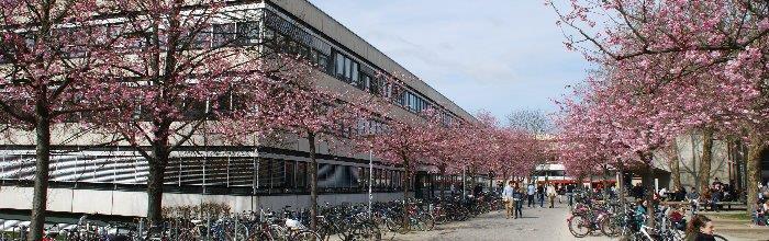 Das Bibliothekssystem der Universität