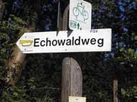 In etwa 300 m sehen wir eine Baumgruppe mit einem Wegweiser Rundwanderweg 2, der auf der Teerstraße hinab nach Weidenberg zeigt.