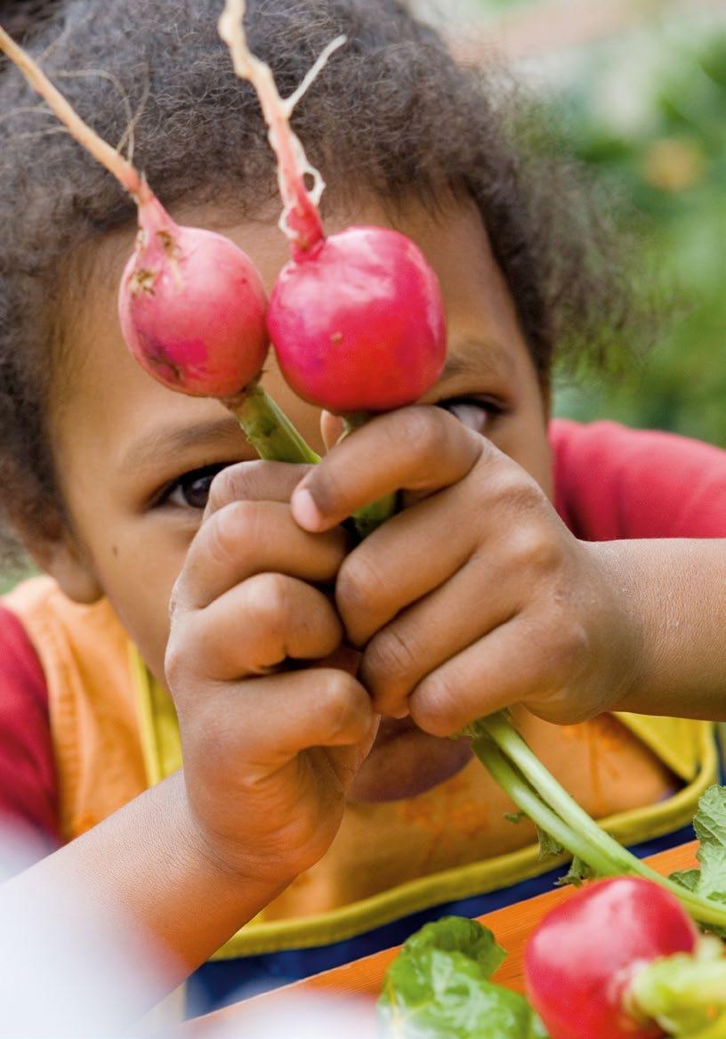 Die Idee: Wenn Kinder ihr eigenes Gemüse säen, pflegen, ernten und gemeinsam essen, verändert das ihre Einstellung zu Lebensmitteln und verbessert ihre