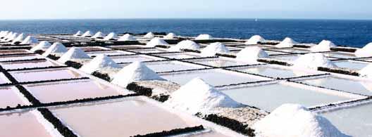 Bei durchschnittlich 28 % liegt der Salzgehalt des Toten Meeres. Zum Vergleich: Das Mittelmeer enthält rund 4 % Salz.
