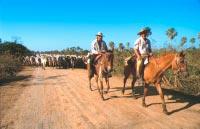 Von grosser Bedeutung sind die Verbindungen zu einem äusserst wichtigen Partner: der Vereinigung der Rinderzüchter von Beni und Pando (FEGABENI), der sämtliche Landbesitzer beider Provinzen