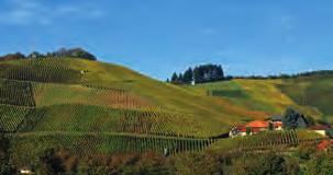 Die hohe Qualität, die das Weingut produziert, spiegelt sich in über 600 Medaillen wieder! Mit dem 2015 Durbacher Plauelrain Riesling Eiswein wurde das Weingut 2016 zum Weltmeister gekürt.
