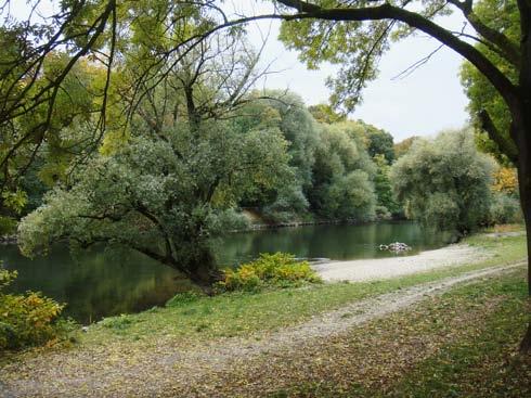 Mehr Vielfalt und mehr Leben an den Ufern von Donau und Regen Donau-Nordarm Oktober 2015 Schöne Erfolge und ein großer Gewinn für Mensch und Natur: An mehreren Stellen im Stadtgebiet wurden die Ufer