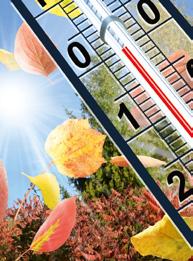 Räume mit Temperaturen zwischen 10-15 C müssen hell sein (Gewächshaus, Wintergarten), sonst sind sie ungeeignet. Gleiches gilt, wenn Pflanzen bei Zimmertemperatur überwintern, wie z. B. Palmen.