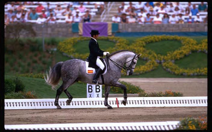 WETTBEWERB Pferde und Reiter erweitern ihre Fähigkeiten hauptsächlich durch den Wettbewerb.