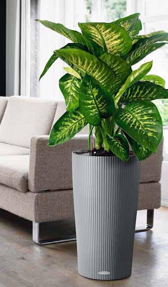 3 27 17141 17142 17146 17143 17144 17145 Leak-proof plastic planter with subtle pattern of lines Made of solid-coloured, thin-walled
