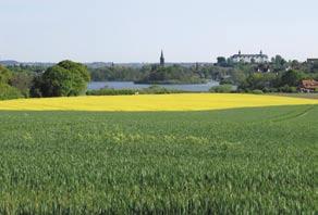 SchleswigHolstein s midland: Lakelands and natural parks Wide lakelands, blooming canola fi elds in spring, wavy corn in summer and colourful deciduous forests in autumn make up the charm of