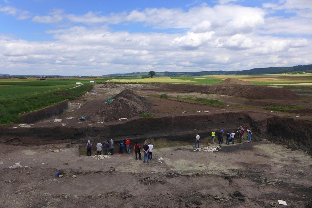 Kolluviale Verebnungsflächen südlich von Lenkersheim, während des Besuchs der Arbeitsgruppe Boden und Archäologie im Juni 206 (Foto: F.