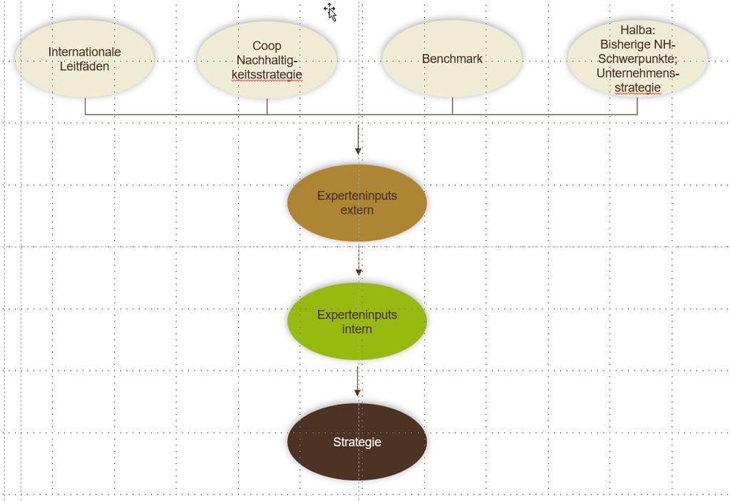 Prozess zur Erarbeitung der Strategie 1. Erstellung einer Issue-Liste Identifikation potentieller Issues Verdichtung 2. Inputs Extern Interviews durch HSLU 3.