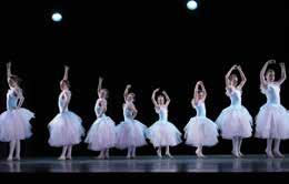 Bei den Aufführungen kommt die geballte Ballett-Power von zwei Musikschulen zum Tragen.