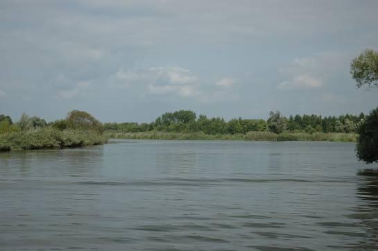 Naturnahe Ufer mit geringer Wellenbelastung sind durch artenreiche feuchte Hochstaudenfluren gekennzeichnet.