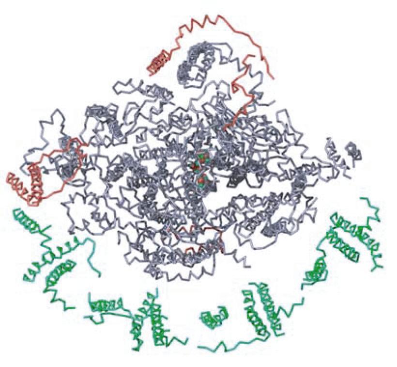 VL3: PSI aus Pflanzen - Proteinuntereinheiten H PsaX, M verloren G, H, N, O zusätzlich G K PsaH: Docking site für LHCII PsaG Bindung
