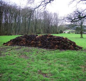 Praxis & Service Pferdeparasiten werden bei Kompostierung durch frei werdende Wärme abgetötet: dieser Mist kann gefahrlos auf das Grünland. Die Wechselbeweidung mit Rindern ist sinnvoll.