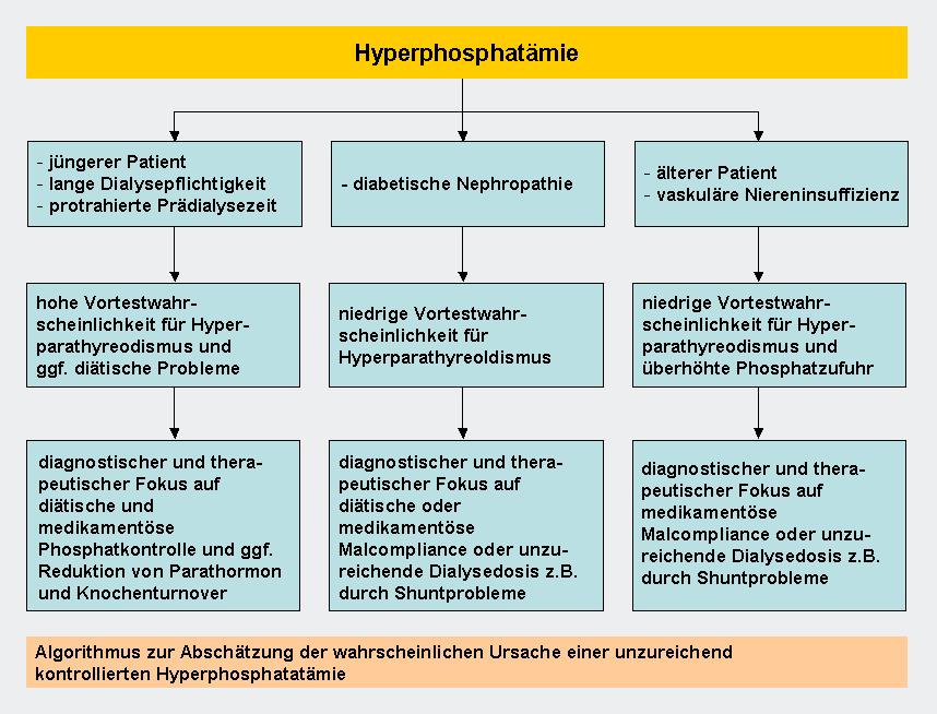 Hyperphosphatämie Erhöhte Phosphat-Konzentrationen sind bei Patienten mit terminaler Niereninsuffizienz sehr häufig zu finden.