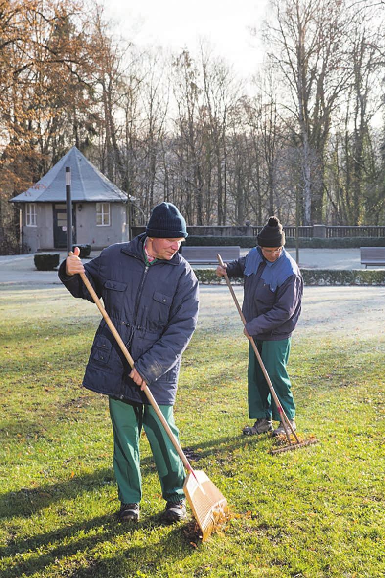 Jahrgang 2017 Nr.