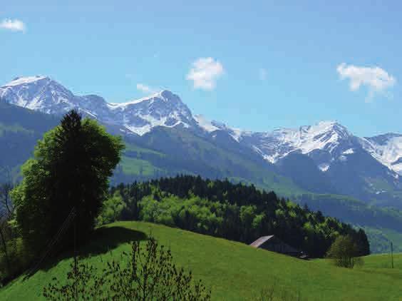 Darüber erhebt sich das herrliche Panorama der Freiburger Alpen, deren höchste Felsspitzen 2400 m erreichen.