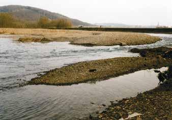 Typ 9.2: Große Flüsse des Mittelgebirges Verbreitung in Gewässerlandschaften und Regionen nach BRIEM (2003): Gewässermorphologie- Übersichtsfoto eines Beispielgewässers: Auen über 300 m Ruhr (NW).