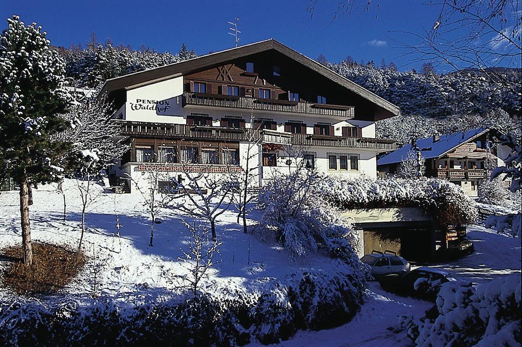 Umlaufgondeln bringen die Skifahrer auf das berühmte Sonnenplateau, umgeben von den schneebedeckten Bergen, die dem Gebiet seinen Namen gaben. Der Kronplatz als Skiberg Nr.