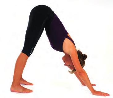 120 OSTEOPATHIE IM SPORT Im Yoga nennt sich die Übung