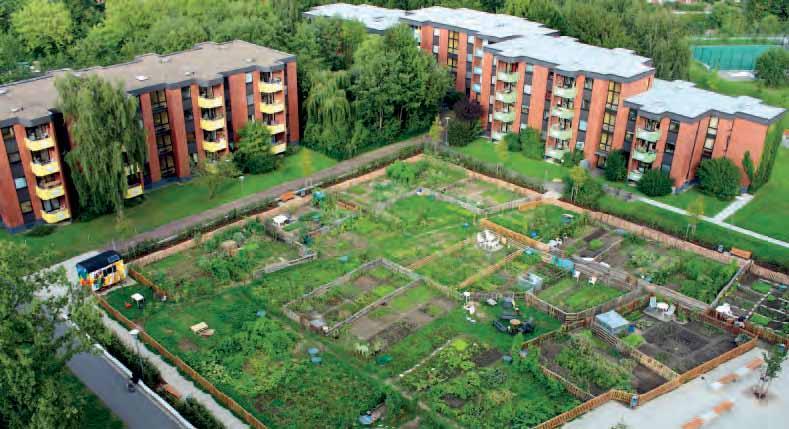 Mitgliedsbeiträge, Aktionsfonds Siekerleben, Anlage des Gartens durch die Stadt Bielefeld Anbau