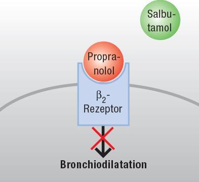 β-sympathomimetika Betablocker Effekt Abschwächung der bronchodilatatorischen, tokolytischen und kardialen Wirkungen von β-