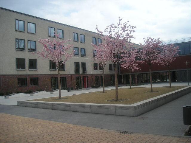 . Foto: Nordhof der Oberschule- Haupteingang Aufgeblüht ist auch der Schulhof der Grundschule, der sich