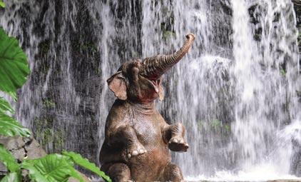kleine Wasserratten Der Elefant liegt ganz weit vorn - er trinkt 150 Liter Wasser am Tag!