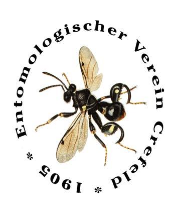 eprint Mitteilungen aus dem Entomologischen Verein Krefeld, Vol. 2 (2009), 1-4. Entomologischer Verein Krefeld e.v. - ISSN 1865-9365 Sorg, M.