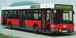 NIEDERFLUR-LINIENBUS (Flüssiggas mit Abgaskatalysator) Hersteller: ÖAF-GRÄF & STIFT/STEYR Ende 2003 sind 238 Normalbusse (31 Sitzplätze, 60