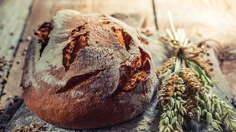 UNSCHLAGBARE MULTITALENTE FRISCHES BROT Frisch gebackenes Brot ist nicht nur gesund und lecker, sondern auch ein Highlight auf Ihrer Grillparty!