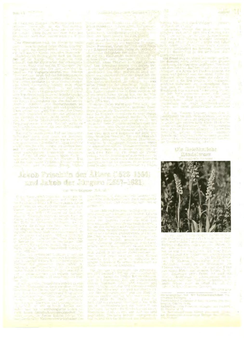 Seite 412 Heimatkundliehe Blätter Balingen ' JuU'1983 ten (Balingen, Ebingen,.Tailfingen) und auch größeren Gemeinden ist ein Hochzeitszug nicht mehr üblich.