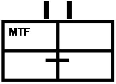 Medizinische Task Force Einsatzabteilung (Verband der Größe II) Stand März 2016: Stärke 126 Die MTF gliedert sich in fünf