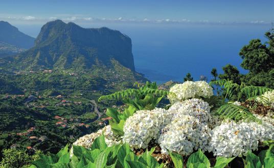 Kleingruppe Mythos Madeira Flüge ab Wien, München, Friedrichshafen & Zürich Viele der schönsten Sehenswürdigkeiten Madeiras befi nden sich in der atemberaubenden Natur der