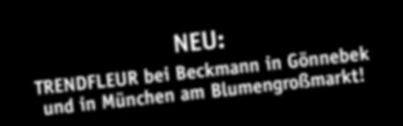 Beckmann in Gönnebek