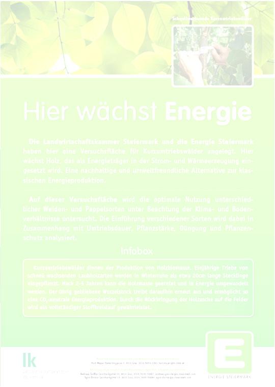 Die Kooperation mit der Einzigartige Kooperation in Österreich LK EVU Gemeinsame Entwicklungsprojekte Laufzeit bis 2016 Versuchsprogramm zur Optimierung der Energieholzproduktion im Kurzumtrieb